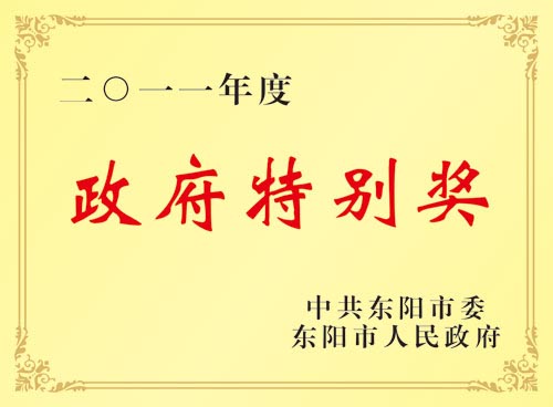 政府特别奖