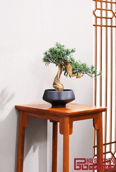  东成红木大师书房一景