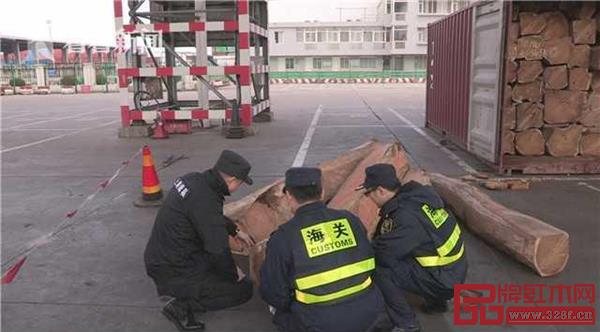 在上海海关“蓝天2019”首轮集中打击行动中查获刺猬紫檀438吨 在上海海关“蓝天2019”首轮集中打击行动中查获刺猬紫檀438吨