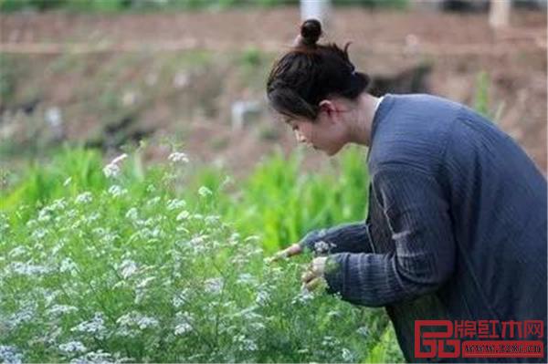 隐居终南山的女子