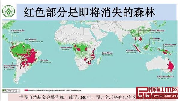 李凱夫：樹種頻頻管控 紅木企業(yè)要開源節(jié)流