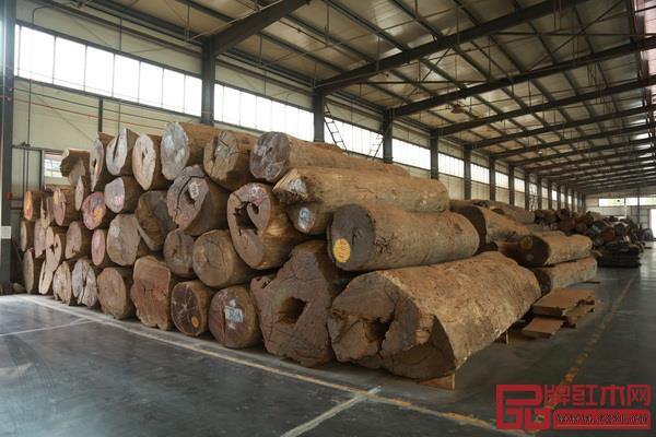  巧夺天工红木精选大树树干料作家具原材料