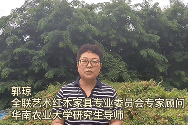 华南农业大学研究生导师郭琼为第七届新中式红木展打call