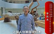 华南农业大学教授李凯夫向全国红木人拜年