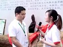 中国古典家具网记者采访千年黄花梨
