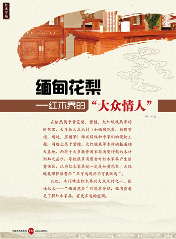 缅甸花梨——红木界的“大众情人”