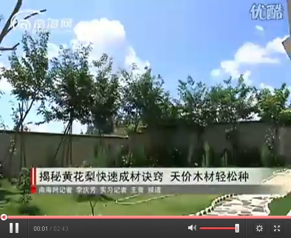 常用种植：海南黄花梨种植方法