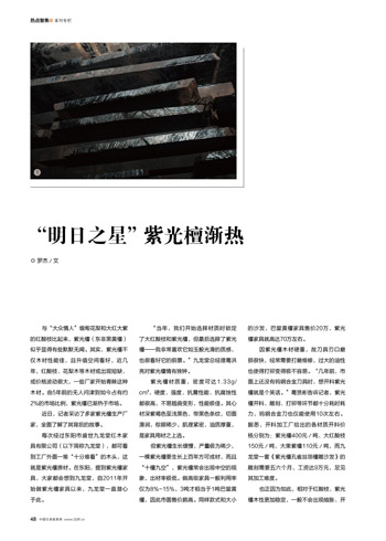 “明日之星”紫光檀渐热