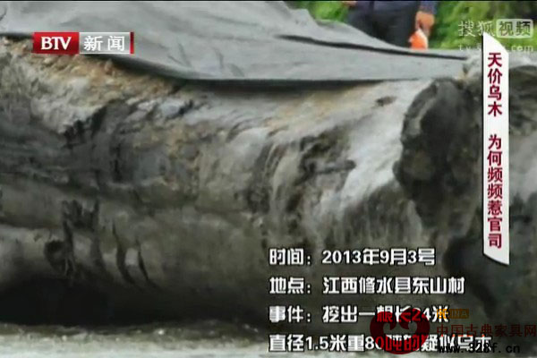 天价乌木，为何频繁惹官司？（视频）
