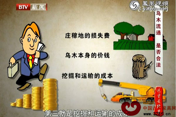 乌木之争：乌木流通，是否合法？（视频）