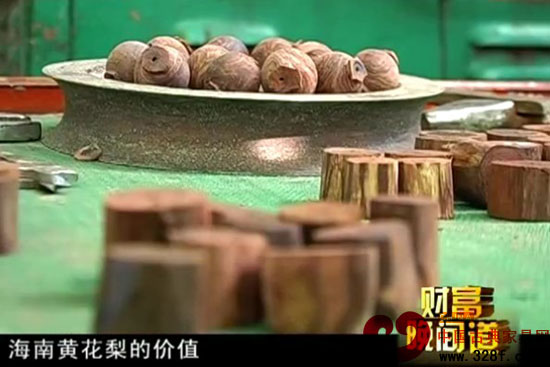 千里追寻黄花梨（视频）