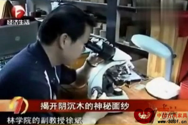 揭开阴沉木的神秘面纱（视频）