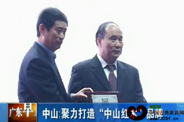 中山市红木家具行业协会：聚力“中山红木”品牌（视频）