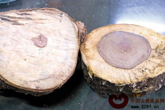 海南黄花梨之赌：一棵树卖十几万 赌赢可获利上百万
