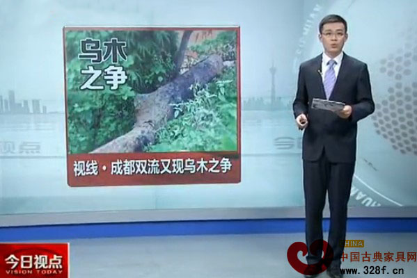 成都双流再现乌木之争（视频）