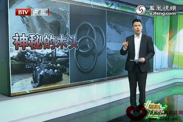 一段木头值上亿？找寻神秘的乌木（视频）