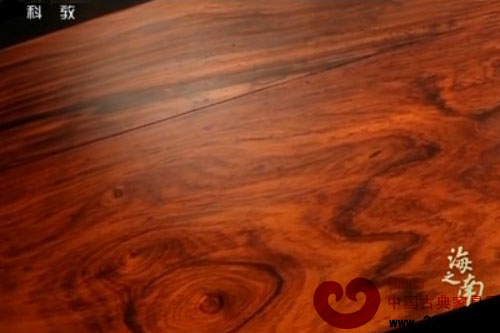 海之南：花梨（视频）