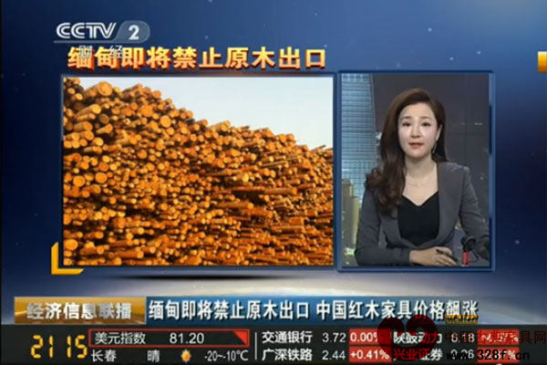 缅甸即将禁止原木出口(视频)