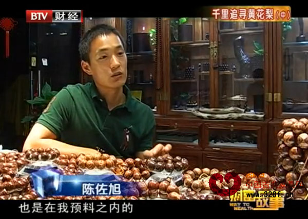 千里追寻黄花梨（中）