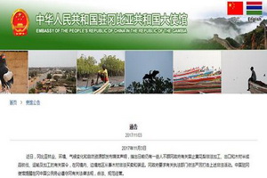 冈比亚严打木材非法加工出口