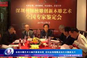 全国木雕艺术大咖齐聚泰和园 深圳丝翎檀雕成当代木雕新名片（视频）