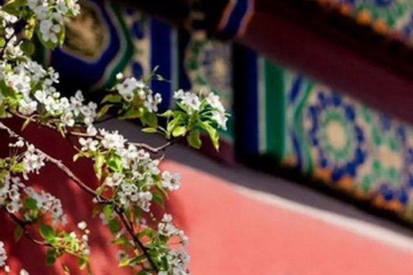 国家大力扶持传统文化 红木家具的春天到了