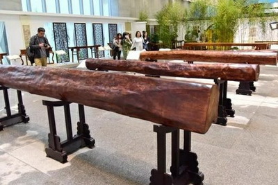 巨型罕见海南黄花梨圆木在云南昆明展出