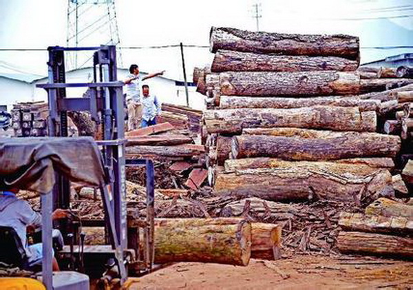 探索国际木材市场价格指数期货化