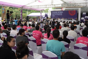 第十三届文博会观澜红木分会场开幕