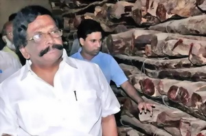 印度将举行第7轮全球紫檀木拍卖