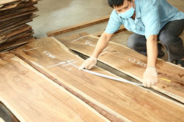 中国刺猬紫檀看新会，新会刺猬紫檀看雄业红木