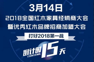 15天后 中山“红海行动”打响开年招商第一战