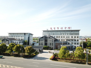 晟宝红木丛东云：薪火传承，缔造苏作新中式典范“檀一”