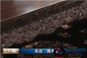 走近“囤木者”（视频）