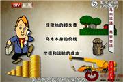 乌木之争：乌木流通，是否合法？（视频）