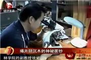 揭开阴沉木的神秘面纱（视频）
