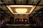 浙江大清翰林古典艺术家具有限公司专题片（视频）