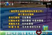 多种红木进口受限 红木家具涨声一片
