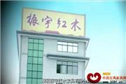 横店振宇红木家具企业宣传片（视频）