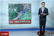 成都双流再现乌木之争（视频）