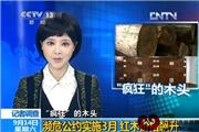 “疯狂”的木头：濒危公约实施3月 红木价格飙升（视频）