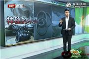 一段木头值上亿？找寻神秘的乌木（视频）