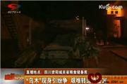 “乌木”现身引纷争 艰难转运待鉴定（视频）