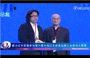 戴为红木海南博鳌斩获四项大奖