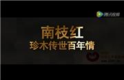 南枝红红木家具企业视频