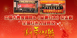 2012年新春拜年专题