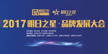 2017明日之星·品牌发展大会