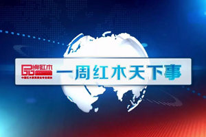 一周红木天下事：海南黄花梨枯树50轮竞价后264万元成交 | 第45期