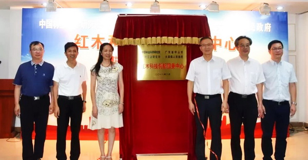 发展超给力：大涌红木科技创新服务中心揭牌