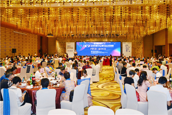 新中式游乐园：风尚之夜，烟火晚会璀璨上演